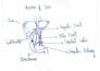 handwrite aesthetic study notes with diagrams for students